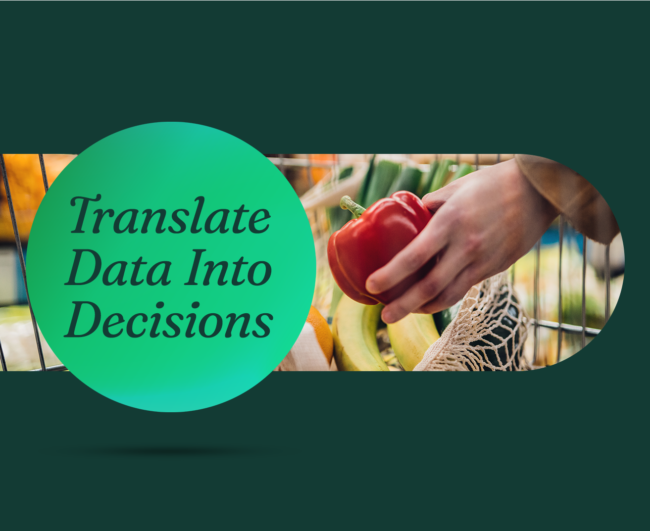 Translate Data Into Decisions