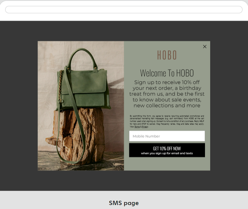HOBO Website Landing Page